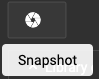 The snapshot button